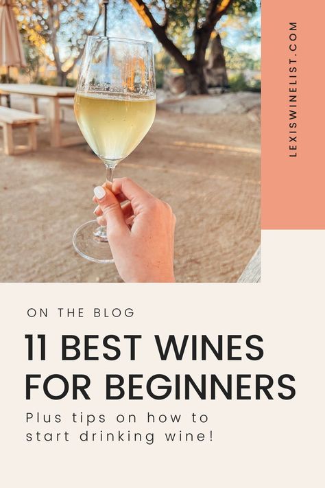 Wine For People Who Dont Like Wine, Beginner Wine Guide, Alcohol For Beginners, Wine Tasting For Beginners, How To Drink Wine Properly, Best White Wine To Drink, Best Sweet Wine For Beginners, White Wines Guide, Best Wine For Beginners