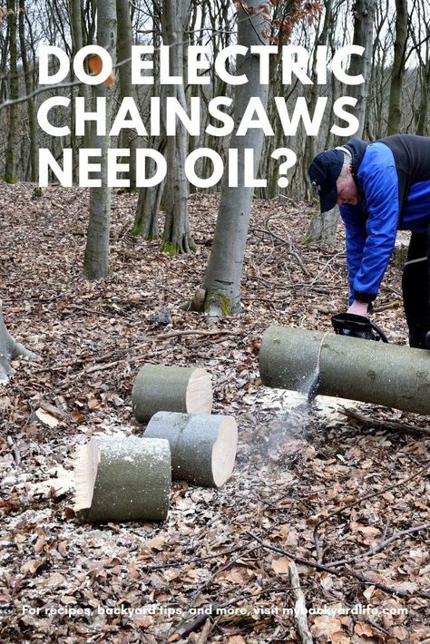 There are many reasons why you may prefer an electric chainsaw over gas powered. You may not be able to completely get away from using oil though. Read on to find out more. #backyardtips #chainsaws #maintenance Gas Chainsaw, Electric Chainsaw, Electric Saw, Work Goals, Tree Removal, Types Of Vegetables, Why Do People, People Talk, Autumn Trees