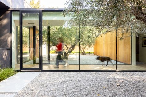 An Architect’s Matte Black Los Angeles Home Opens Wide to the Great Outdoors - Dwell Los Angeles Modern Homes, Modern House In Los Angeles, Black Glass House Modern, House Exterior Los Angeles, San Francisco Houses Modern, Pavillion House, Indoor Landscape, Glass Walkway, Black Los Angeles