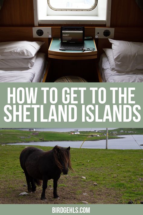 Shetland Islands Scotland, Sisters Trip, Bonnie Scotland, Shetland Islands, Love Boat, Ways To Travel, Virtual Tours, Car Hire, Inverness