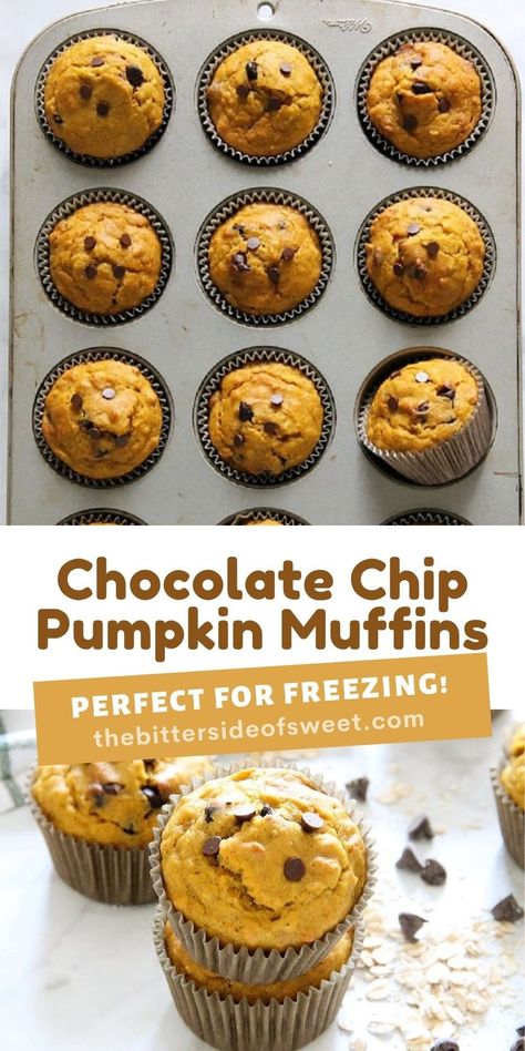 Pumpkin Chocolate Chip Cupcakes Easy, Oatmeal Pumpkin Chocolate Chip Muffins, Pumpkin Muffins Recipes Easy, Pumpkin Chocolate Chip Mini Muffins, Pumpkin Chocolate Chip Muffins Easy, Pumpkin Muffins Chocolate Chip, Pumpkin Muffins With Chocolate Chips, Pumpkin Chocolate Chip Muffin Recipe, Chocolate Chip Pumpkin Muffins