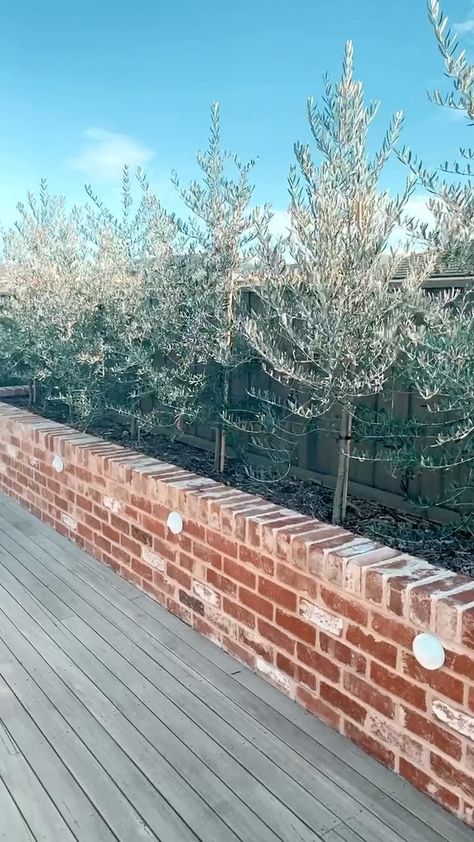 Planter Bed Retaining Wall, Gardens With Retaining Walls, Brick Flower Boxes Outside, Recycled Brick Ideas, Recycled Brick Garden Bed, Recycled Brick Retaining Wall, Low Brick Wall Front Yard, Garden Retaining Wall Ideas Landscaping, Brick Wall Patio Ideas