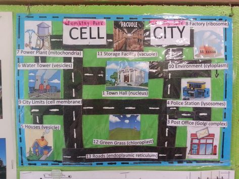 Plant Cell Analogy Project Ideas, Plant Cell City Project Ideas, Vacuole Drawing, Cell City Project Ideas Drawing, Cell City Project Ideas, Cell Analogy Project Ideas, Cell City Project, Project Biology, Ideas Drawing Easy