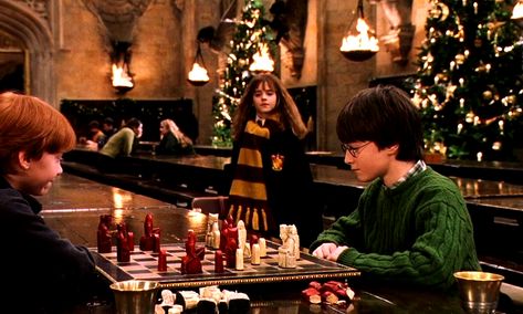 Best Holiday Movies, Alison Sudol, Film Harry Potter, Harry Potter Ron And Hermione, Cumpleaños Harry Potter, Michael Gambon, Hogwarts Christmas, Harry Potter Shop, The Sorcerer's Stone