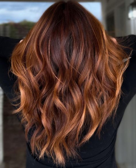 Glossy Golden Auburn Hair Highlights In Brown Hair Short, Golden Auburn Hair, Auburn Highlights In Brown Hair, Highlights In Brown Hair, Brown Hair Short, Deep Auburn Hair, Light Auburn Hair Color, Brown Auburn Hair, Brown Hairs