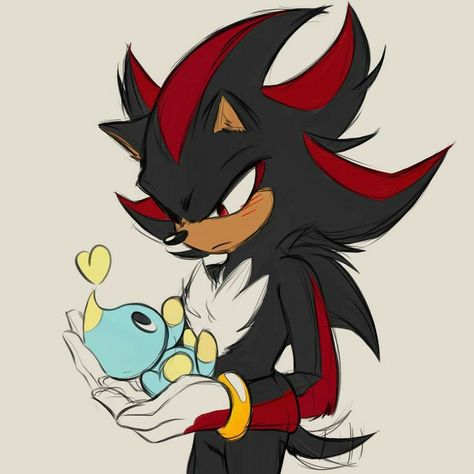 Shadow The Hedgehog, The Hedgehog