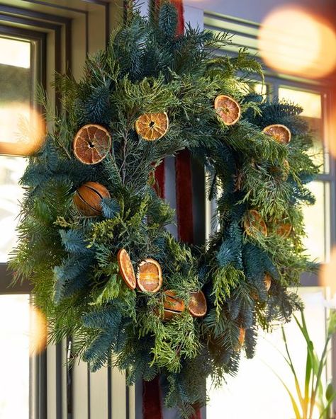 Dried Citrus Wreath, Juniper Wreath, Charleston Christmas, Citrus Wreath, Dried Citrus, Orange Wheels, Decorated Wreaths, Orange Wreath, Evergreen Wreath