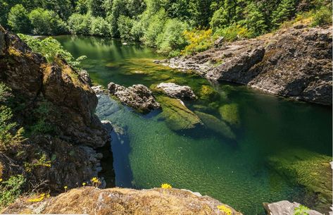 The Sooke potholes are magical place in British Columbia that provide visitors with over 3 miles of breathtaking swimming holes and cascading waterfalls. Travel Vancouver Island, British Columbia Travel, Canada Holiday, Canada Road Trip, Swimming Holes, Vancouver Island, Canada Travel, Travel Goals, Magical Places