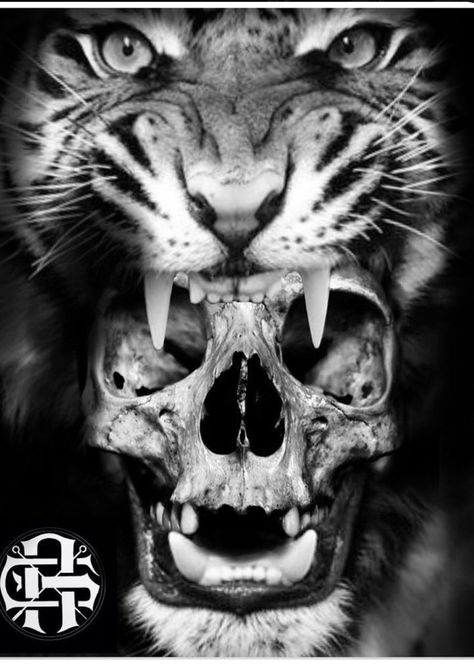 Tiger And Skull Tattoo, Tiger Skull Tattoo, Owl Skull Tattoos, Cat Skull Tattoo, Bird Skull Tattoo, Pirate Skull Tattoos, Small Skull Tattoo, Candy Skull Tattoo, Indian Skull Tattoos