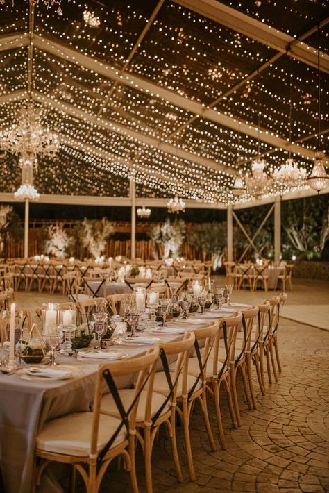 Wedding Venues With Lights, Wedding Reception Lights Outdoor, Wedding Venue Floral Ceiling, Tent Wedding Venue Ideas, Lights In Tent Wedding, Wedding Tent Fairy Lights, Wedding Venues Tent, Outdoor Wedding Tent Lighting, Wedding Venues Ideas Outdoor