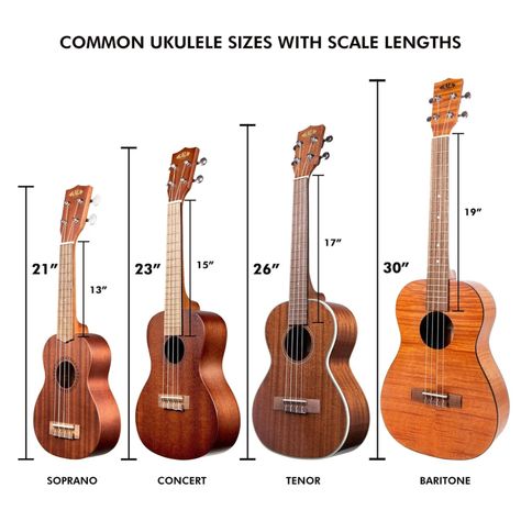 diagram of ukulele strings - Google Search Ukulele Sizes, Concert Ukulele, Diy Instruments, Ukulele Lesson, Ukelele, Musical Instruments Accessories, Ukulele, Musical Instruments, Music Instruments