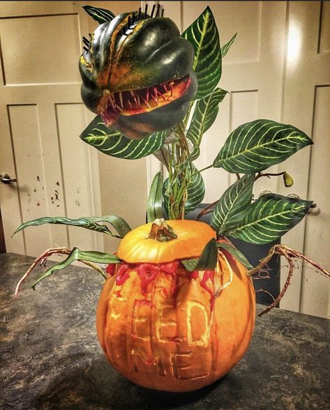 Audrey 2 Pumpkin Carving, Epic Pumpkin Decorating, Scary Pumkins Ideas, Little Shop Of Horrors Pumpkin Painting, Creative Pumpkin Carving Contest, Little Shop Of Horrors Pumpkin, Beetlejuice Door, Winning Pumpkin Contest Ideas, Pumpkin Design Ideas