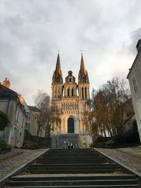 The Cathedral in Angers, France Angers France, France Aesthetic, The Cathedral, Engagement Shoot, Cologne Cathedral, Engagement Shoots, Mood Board, France, House Styles