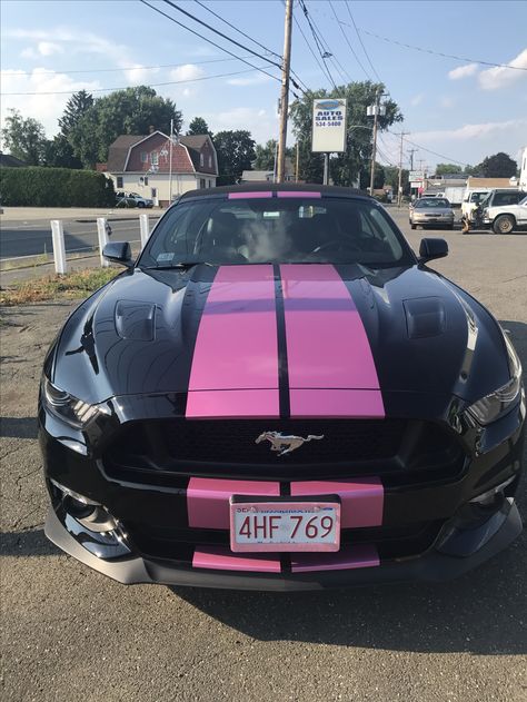 My 2017 Mustang GT Metallic Pink Stripes Black Mustang With Pink Stripes, Pink Mustang Aesthetic, Black And Pink Mustang, 2017 Mustang Gt, Girly Mustang, Pink Mustang Gt, Mustang With Stripes, Pink And Black Car, Mustangs Cars