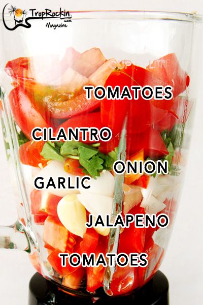 Homemade Salsa In Blender, Make Salsa From Fresh Tomatoes, Easy Salsa Recipe Fresh Tomatoes, Easy Salsa With Fresh Tomatoes, Homemade Salsa Ninja Blender, Homemade Salsa With Garden Tomatoes, Salsa Recipe With Fresh Tomatoes And Jalapenos, Salsa Made With Tomato Sauce, Salsa From Fresh Garden Tomatoes