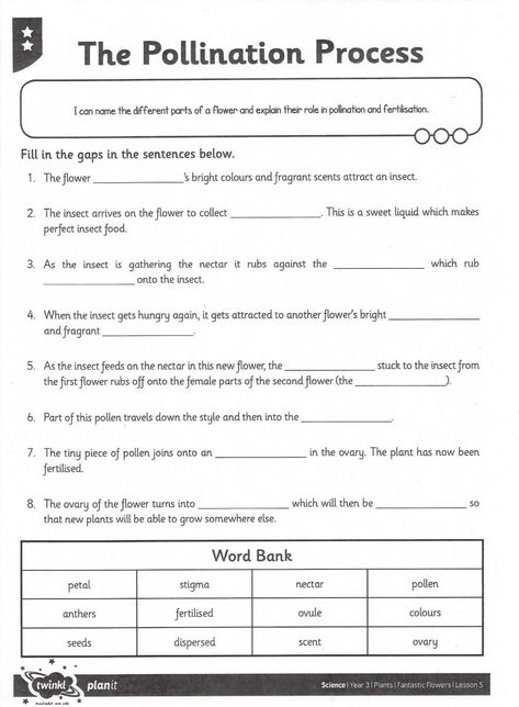 Pollination Worksheet, Grade 1 Reading Worksheets, Plant Life Cycle Worksheet, Christmas Worksheets Kindergarten, Daily Language Review, Proper Nouns Worksheet, Plant Adaptations, Grade 1 Reading, Letter Song