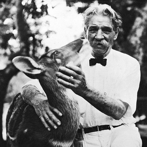 "Compassion, in which all ethics must take root, can only attain its full breadth and depth if it embraces all living creatures and does not limit itself to mankind."  --  Albert Schweitzer Albert Schweitzer, Animal Rights, Human Experience, Inspirational People, Animal Photo, No Me Importa, Personalities, A Man, Deer