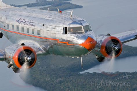 Twin Engine Airplane, Douglas Dc3, Pacific Southwest Airlines, King Painting, Dc 3 Airplane, T-47 Airspeeder, Pilots Aviation, Small Aircraft, Vintage Props