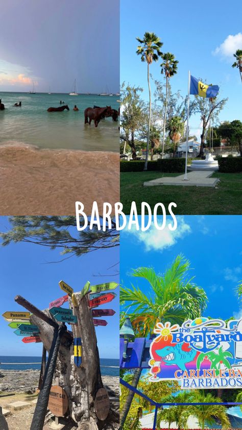 Barbados Aesthetic, Barbados Travel, Barbados, So Pretty, Live Life, Panama, I Want, Brazil, Travel