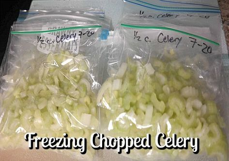 Freezing Celery, Can You Freeze Celery, Freeze Veggies, How To Freeze Celery, Freezer Desserts, Freezer Cooking Recipes, Freezer Jam, Veggie Tray, Frozen Veggies