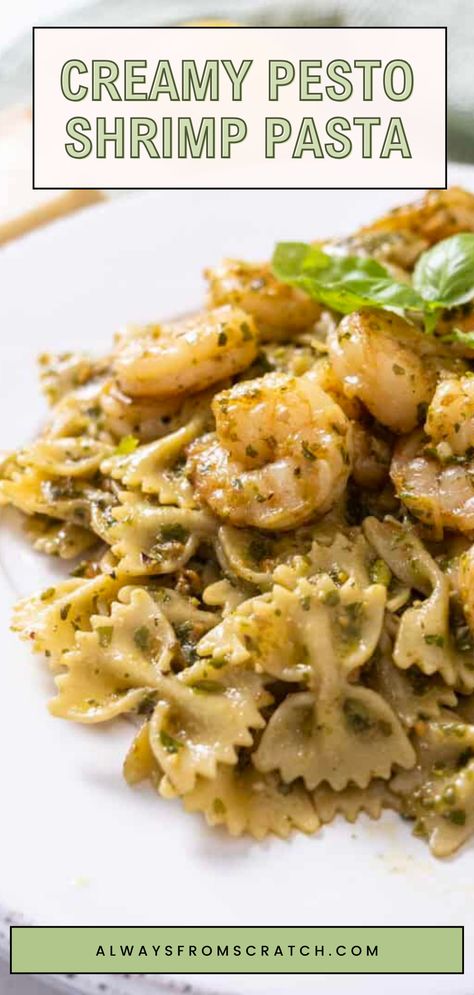 Dive into a bowl of pure deliciousness with this Creamy Pesto Shrimp Pasta! Perfect for busy weeknights, this easy shrimp pasta dish comes together in under 30 minutes, making it a go-to for your dinner rotation. The rich, creamy sauce perfectly complements the tender shrimp, creating a mouthwatering flavor that everyone will love. Whether you're cooking for family or entertaining guests, this pesto shrimp recipe is sure to impress. Don't miss out—your taste buds are in for a treat! Pesto And Shrimp Pasta, Shrimp And Burrata, Shrimp Pesto Recipes, Creamy Pesto Shrimp Pasta, Light Shrimp Pasta Recipes, Shrimp Pesto Pasta Recipes, Healthy Shrimp Pasta Recipes, Shrimp And Pasta Recipes, Basil Shrimp Pasta