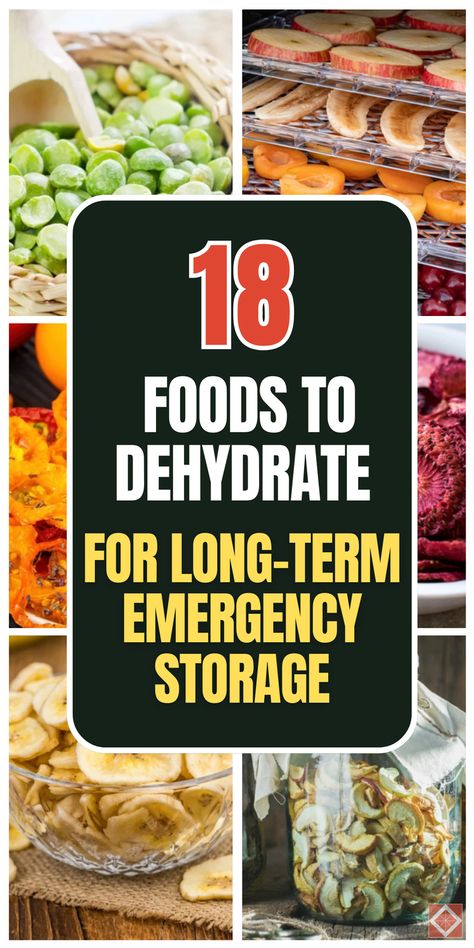 Discover 18 foods to dehydrate for long-term emergency storage. These foods will keep your pantry well-stocked and ready for any situation. Save this pin for later and start preparing for emergencies with dehydration techniques. Click to learn more about these must-have foods! Things You Can Make In A Dehydrator, Recipes For Dehydrated Food, 1 Year Of Food Storage, Best Dehydrated Foods, How Long Does Dehydrated Food Last, What Foods Can You Dehydrate?, Food Prepping For Beginners, How To Store Dehydrated Food, How To Dehydrate Food