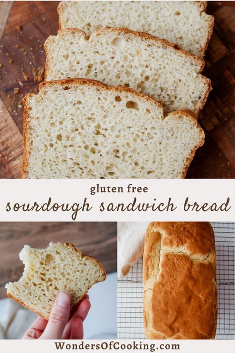 Gluten Free Sourdough Sandwich Bread - Sourdough Discard Best Gluten Free Sandwich Bread Recipe, Gluten Free Sandwich Bread Recipe, Gluten Free Sandwich, Glutenfree Bread, Making Sandwiches, Homemade Gluten Free Bread, Gluten Free Sandwich Bread, Best Gluten Free Bread, Gluten Free Sandwiches