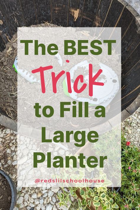 Do you have dreams of large planters filled with beautiful flowers? I know I do! Here's how I fill my planters without spending a fortune. #planterfiller #largeplantertips #howtofillplanterpots #gardeningtips Large Round Planter Ideas, Outdoor Large Potted Plant Ideas, Large Planters Front Of House, Filling Planter Boxes, What To Put In Large Planters, Large Garden Planters Ideas, Using Planters In Landscaping, How To Fill Planter Boxes, Planting In Large Planters