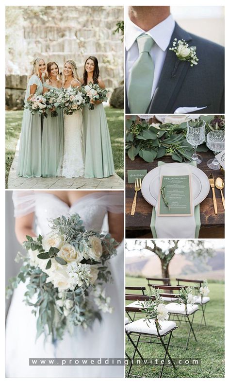 Spring Reception, Sage Green Wedding Theme, Sage Wedding Colors, Sage Green Wedding Colors, Green And White Wedding, Summer Reception, Wedding Color Scheme, Wedding Color Palettes, Wedding Color Trends