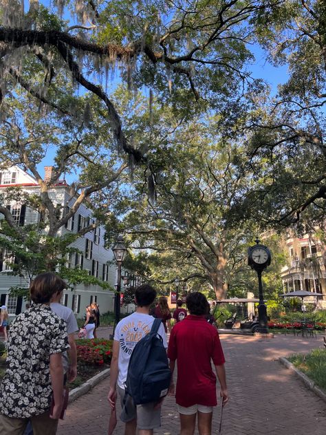 Charleston South Carolina Fall, Beach College, South Carolina College, Charleston University, Charleston South Carolina Aesthetic, College Of Charleston Aesthetic, Collage Of Charleston, University South Carolina, College Of Charleston