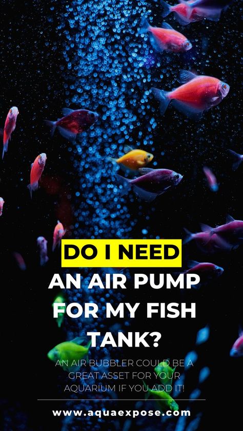 Have you ever gone into an aquarium shop and been instantly mesmerized by the bubbles bubbling inside an aquarium? These bubbles that you see floating around are created by an addition to the aquarium known as an air pump. An air pump is used to ensure proper air circulation in your aquarium’s water. It can function as a filter and provide an additional gaseous exchange to bring in more oxygen into your tank. Some filters even require air pumps to function. Aquarium Shop, Fish Tank Cleaning, Saltwater Fish Tanks, Aquarium Air Pump, Fish Supplies, Fish Care, The Aquarium, Fish Tanks, New Tank