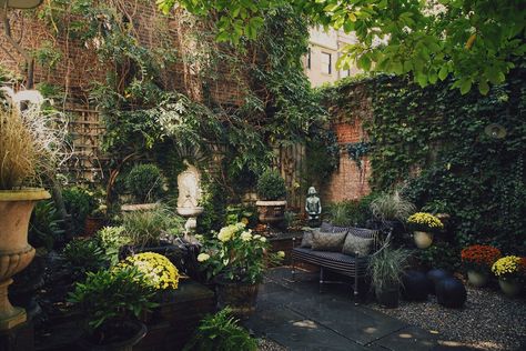 Backyard Patio Ideas from a Perfectly Imperfect Garden in New York City | Architectural Digest Shady Courtyard, Happy Decor, Ocean Garden, Backyard Playset, Small City Garden, Courtyard Landscaping, Small Courtyard, Courtyard Gardens, Small City