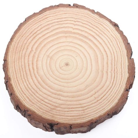 Amazon.com: Fuhaieec Wood Slices Natural Unfinshed Round Pine Wood Slabs, 7'' to 8'', 4 Pack, Large Rustic Wood Pieces with Tree Bark for Wedding Centerpiece DIY Craft Christmas Rustic Wedding Ornaments Round Wood Craft Ideas, Wood Rounds Crafts, Tree Bark Crafts, Wood Slice Centerpieces, Large Wood Slices, Centerpiece Diy, Wedding Ornaments, Wood Bark, Christmas Rustic