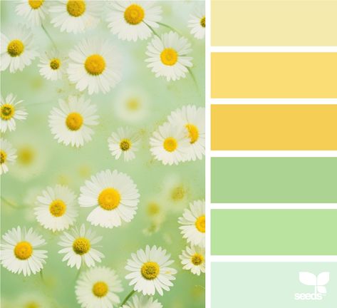 Design Seeds Seasons Color Palette, Colour Palette Summer, Summer Color Schemes, 7 Color Palette, Sun Palette, Flower Color Palette, Inspiration Color Palettes, Summer Colour Palette, Seeds Color Palette