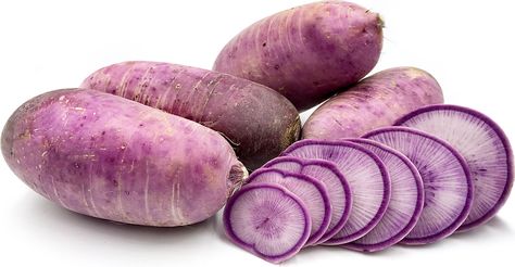 Purple Radish Recipe, Purple Radish, Misfits Market, Choy Sum, Ghost Plant, Pigeon Peas, Radish Recipes, Purple Food, Kabocha Squash