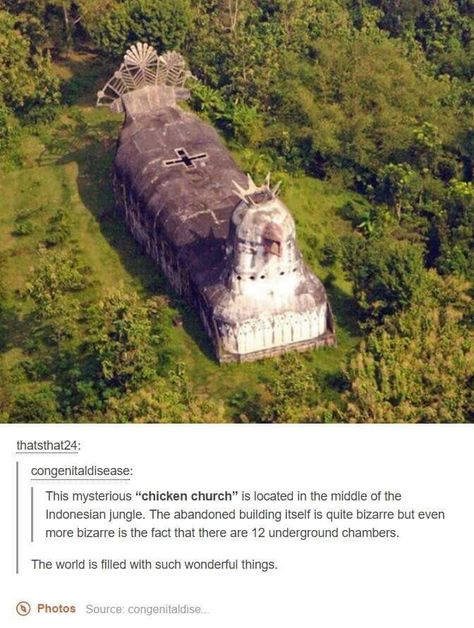 Chicken church Image Meme, The More You Know, History Facts, Tumblr Funny, Hetalia, In The Middle, Cool Places To Visit, The Middle, Places To Travel