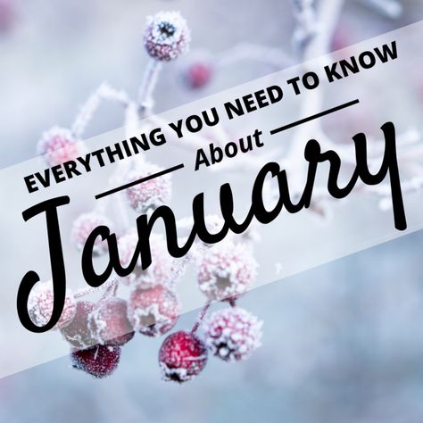 Everything You Need to Know About January. January is the first month on the calendar, but that's just the tip of the iceberg. Do you know what else January is known for? Read to learn everything you didn't know you needed to know about January. January Images Beautiful, January Life List, January Holidays 2024, January Symbols, January Month Milestone, January To Do List, Ways To Celebrate January, January Celebrations, January Astrology