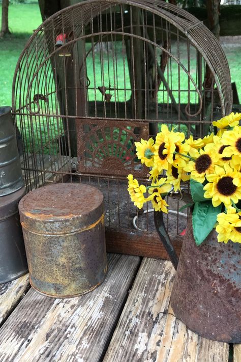 Flea Market Finds Turned Garden Decor – Garden Chick Old Bucket, Thrift Store Upcycle, Recycled Garden Art, Rusty Garden, Flea Market Gardening, Container Gardening Flowers, Recycled Garden, Everyday People, Fall Arrangements