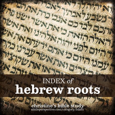 Hebrew Vocabulary, Semitic Languages, Hebrew Roots, Biblical Hebrew, Ancient Hebrew, Hebrew Language, Ancient Kingdom, My Notes, Root Words