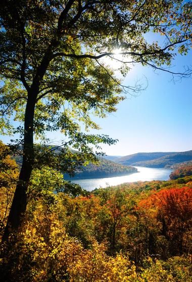 10 of the Most Beautiful Mountains in Pennsylvania Pennsylvania Mountains, Allegheny National Forest, Allegheny Mountains, Awesome Nature, Autumn Scenery, Sunset Landscape, Fall Pictures, Vacation Places, Beautiful Mountains