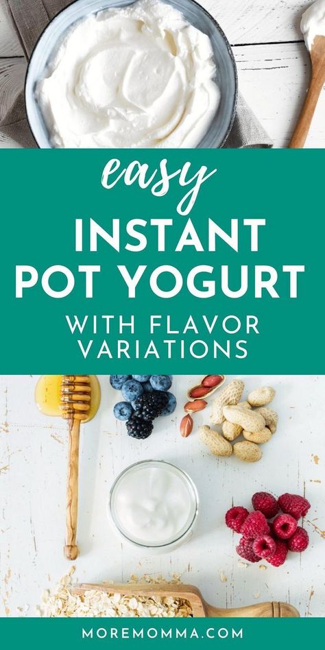 Instant Pot Yogurt Recipe, Homemade Yogurt Recipes, Instant Pot Yogurt, Instant Pot Cookbook, Yogurt Recipe, Honey Yogurt, Greek Yogurt Recipes, Lemon Yogurt, Yogurt Flavors