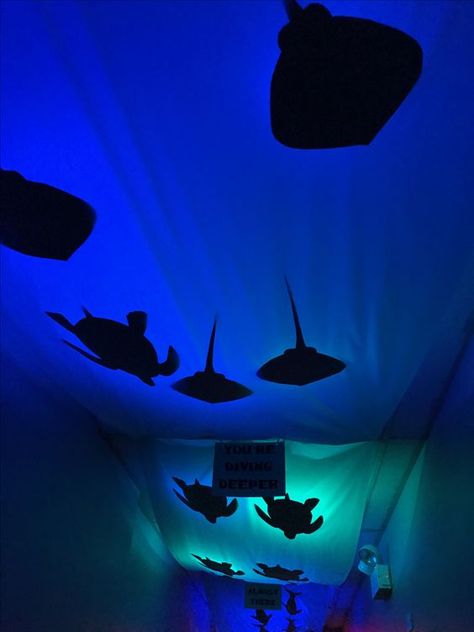 Homecoming Hallways, Zoomerang Vbs, Underwater Theme Party, Underwater Room, Fishing Theme Birthday, Underwater Birthday, Homecoming Decorations, Homecoming Themes, Under The Sea Decorations