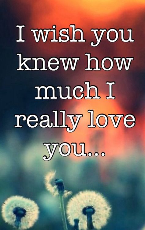 I wish you knew how much I really love you Weekly Themes, November Quotes, She Quotes, I Really Love You, I Love You Quotes, Love Me Quotes, Boyfriend Quotes, Quotes That Describe Me, Trendy Quotes