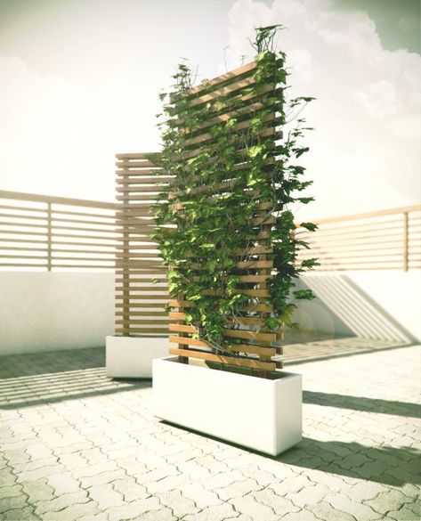 Insanely Awesome and Easy DIY Privacy Walls for Your Yard - Dwell Beautiful Moderne Have, Luxury Balcony, Balcony Privacy Screen, Balcony Privacy, Fence Planters, Diy Balcony, Privacy Plants, Patio Privacy, Privacy Landscaping