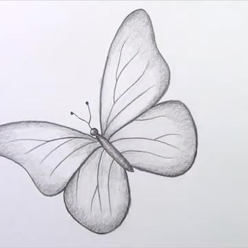 Butterfly Drawing Pencil, Easy Butterfly Drawing, Butterfly Art Drawing, Butterfly Sketch, Pencil Drawings For Beginners, Disney Drawings Sketches, Pencil Sketch Images, Bff Drawings, Cool Pencil Drawings