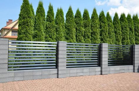 Fence Modern House, Modern House Fence, Concrete Fences, Concrete Fence Posts, Palisade Fence, Fence Trees, Landscaping Along Fence, Modern Fence Design, House Fence Design