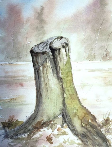 Tree Stump Painting, Inspirational Paintings, Art Tutor, Sequoia Tree, Tree Stumps, Water Colours, Watercolor Tree, Forest Painting, Tree Trunks