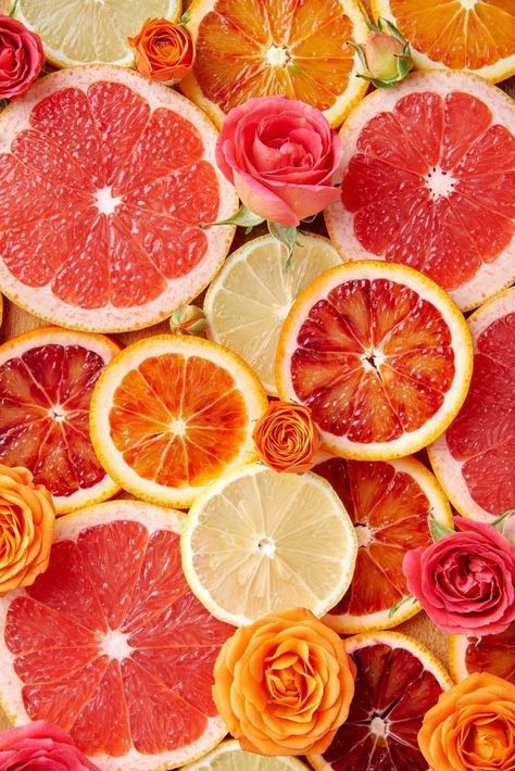 Citrus Fruit, Roses, Fruit, Flowers, Photography