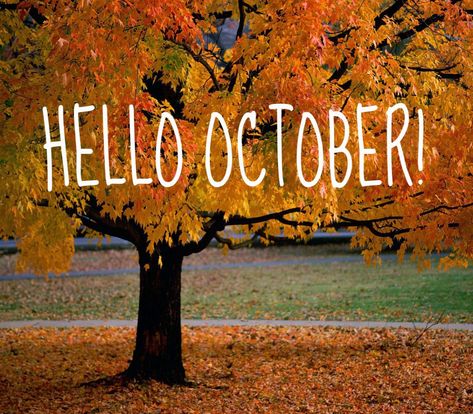 October has come! What will you plant this month? 🍁 October Desktop Wallpaper, Hello October Images, October Images, Happy October 1st, October Pictures, Hello Wallpaper, October Wallpaper, Wallpapers Ipad, Tumblr Backgrounds