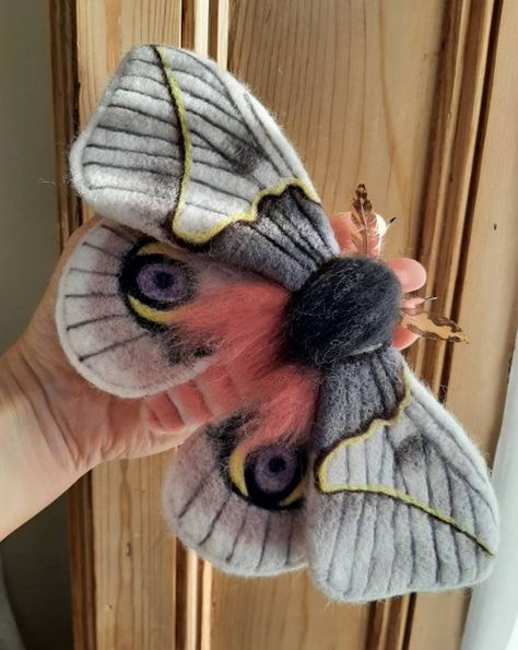 ozzy-clause: sosuperawesome: Felted Moths... | Felt Moth, Giant Insects, Cottagecore Crafts, Snow White Cottage, Butterfly Project, Needle Felting Ideas, Crafts Sewing Projects, Felting Ideas, White Cottage